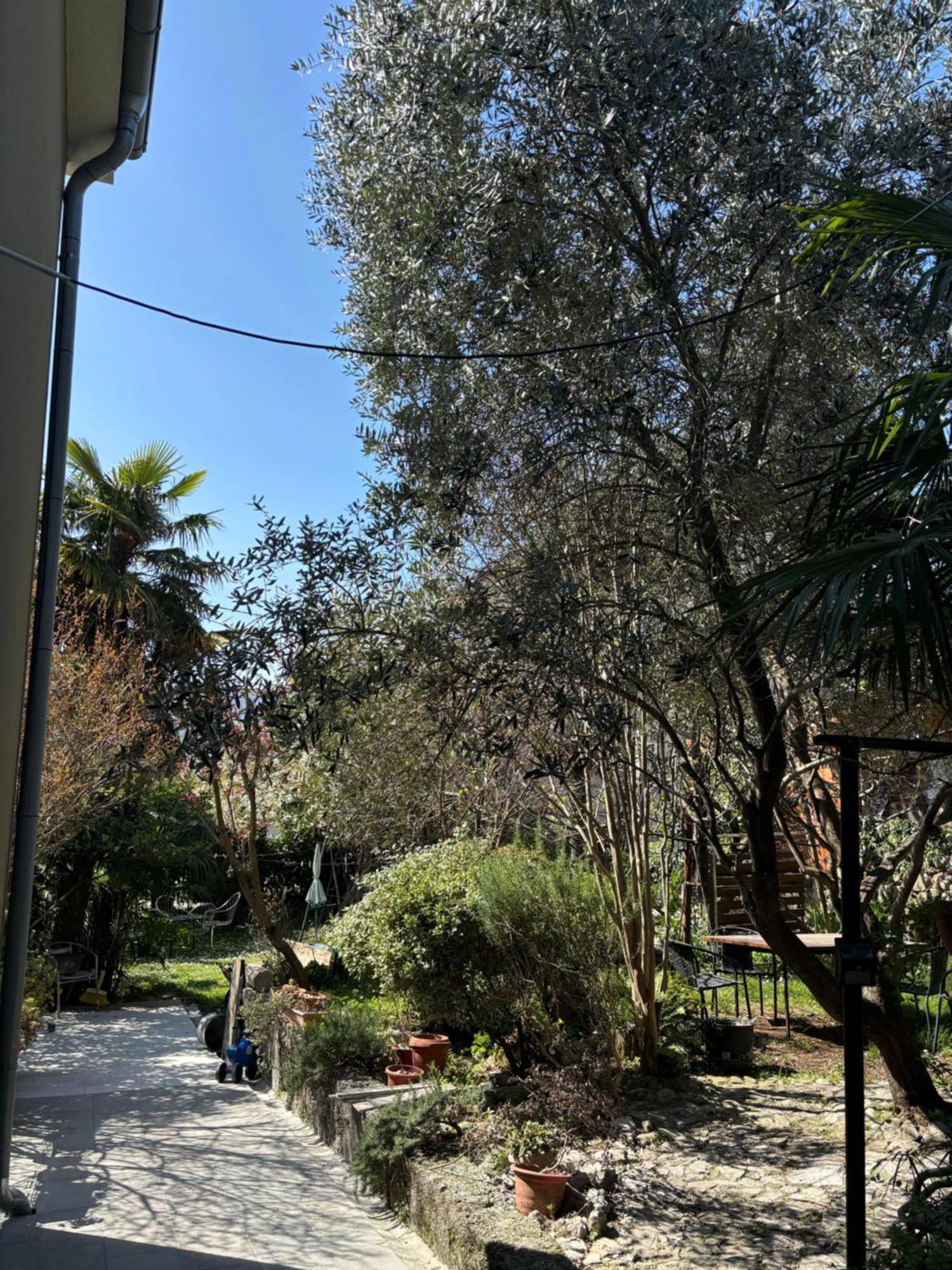 House Demaro Διαμέρισμα Matulji Εξωτερικό φωτογραφία